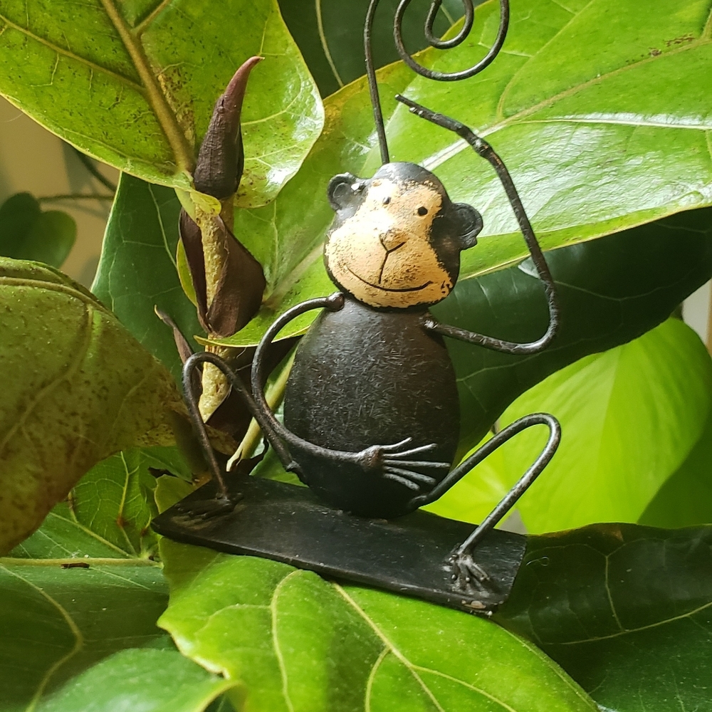 Jungle polaroid holders